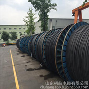 架空电缆与高压架空线 市场行情、优质厂家与产品图鉴