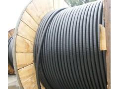 VV22轻铠装电力电缆在电力系统中的应用与漳州市场概述